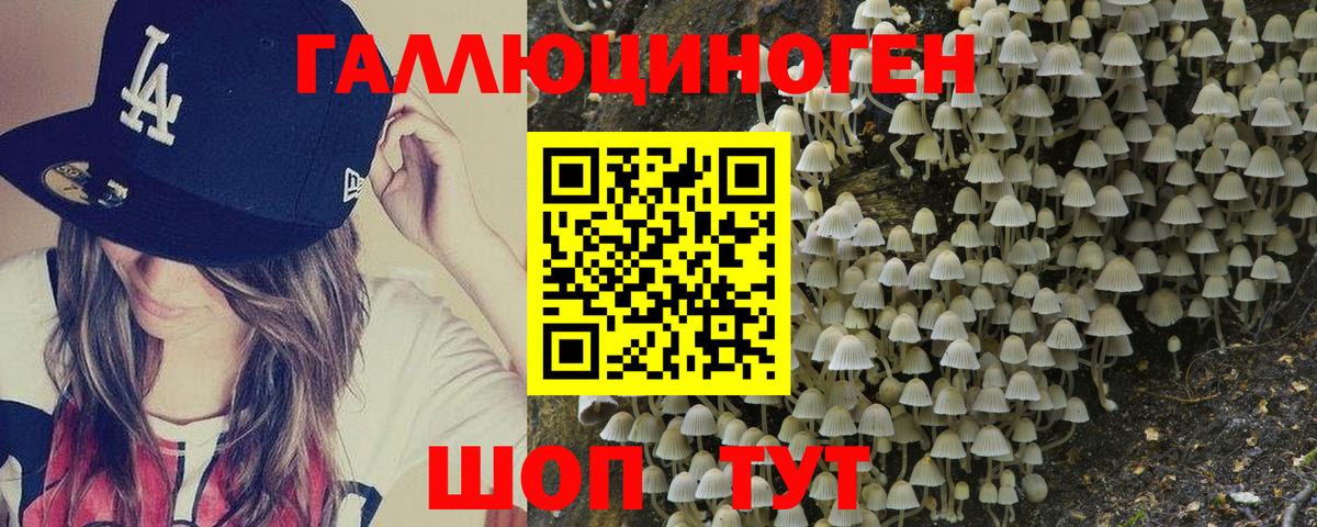 Псилоцибиновые грибы MAGIC MUSHROOMS  Вход с VPN  Галлюциногенные грибы Cubensis  Карабулак 