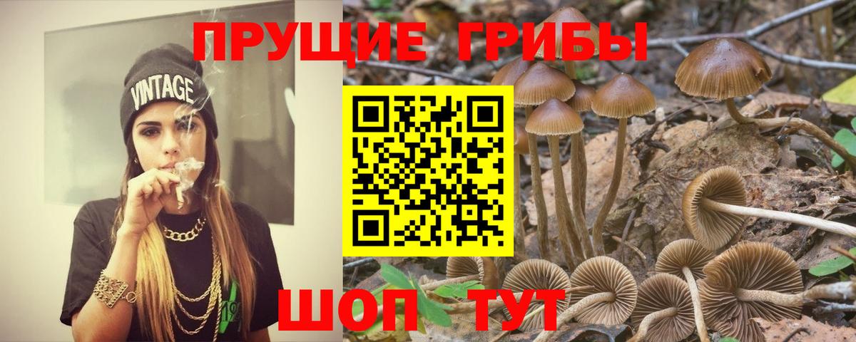 Псилоцибиновые грибы ЛСД Карабулак